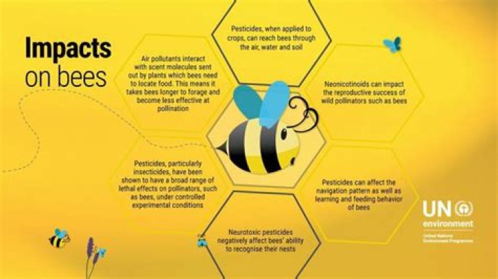 Beez: The Fascinating World of Bees and Their Contributions to Our Planet