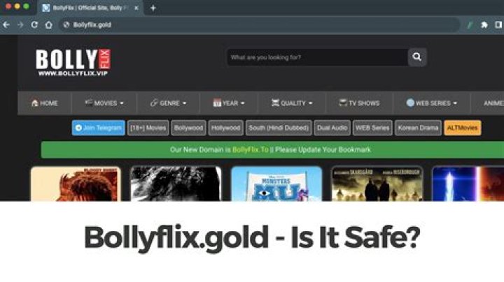 BollyFlix.meme: Your Ultimate Guide to Streaming Bollywood Movies