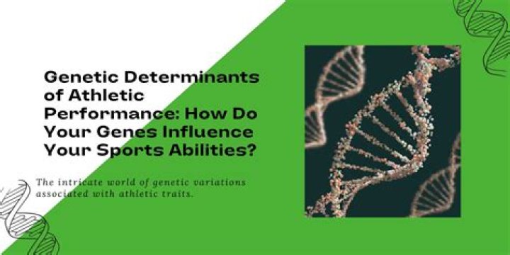 Brittany Griner Chromosomes: Understanding Genetic Factors in Athletic Performance