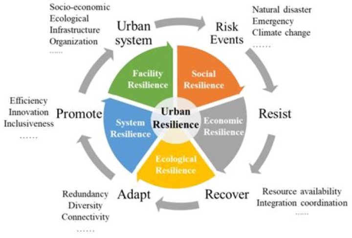 Denise Becker: A Testament to Resilience and Sustainable Living