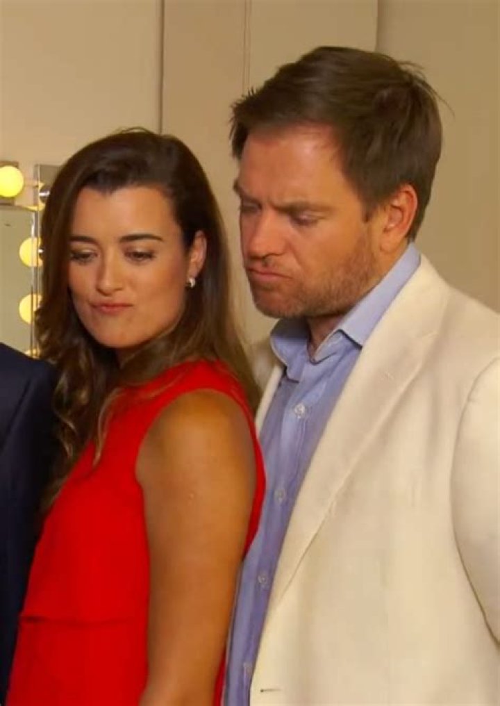 Does Cote de Pablo Have a Child in Real Life? Exploring the Life of the NCIS Star