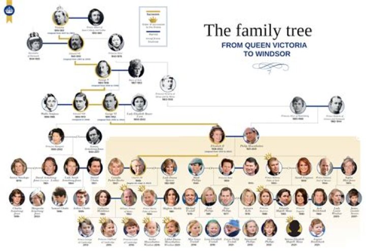 Exploring the Family Tree of Brad Pitt: Brothers and Sisters Revealed