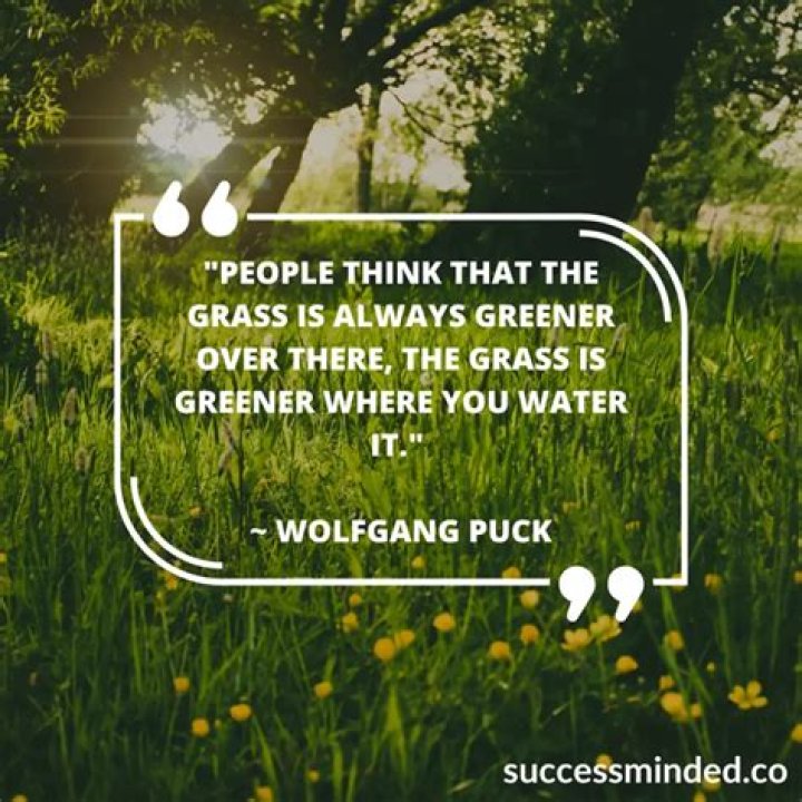 Exploring the Meaning Behind Quotes Like "The Grass Is Always Greener"