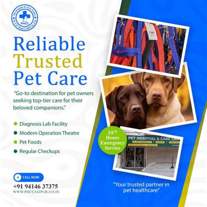 Fries Veterinary Clinic: Your Trusted Partner in Pet Healthcare