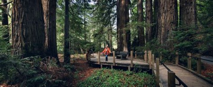 Massey Big Sur State Park: A Comprehensive Guide to California's Coastal Gem
