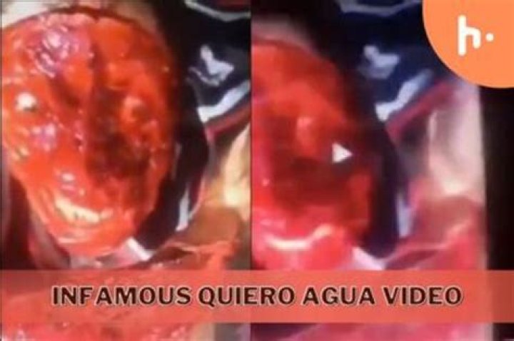 Quiero Agua Video Gore: Understanding the Controversy and Impact