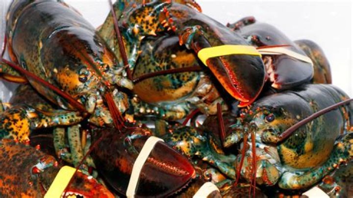 Shrimp Temp: The Ultimate Guide to Exploring the World of Shrimp Temples