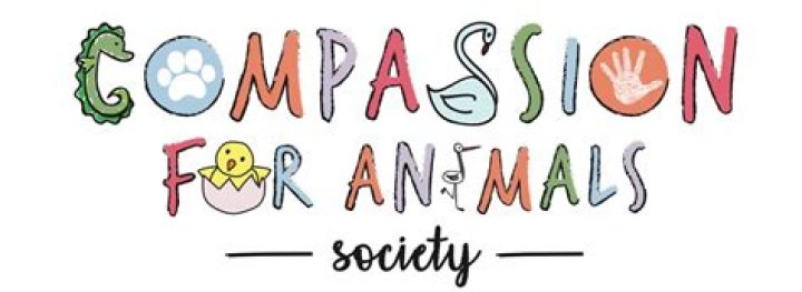 SPCA Richmond VA: A Beacon of Compassion for Animals in Need