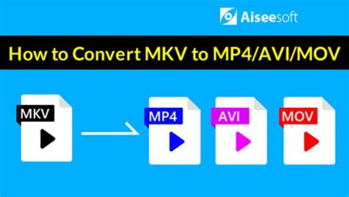 Ultimate Guide to MKVMoviesPoint: Everything You Need to Know About MKV Formats