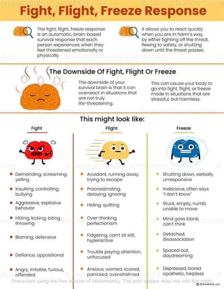 Understanding Flight Reactions: Enhance Your Travel Experience