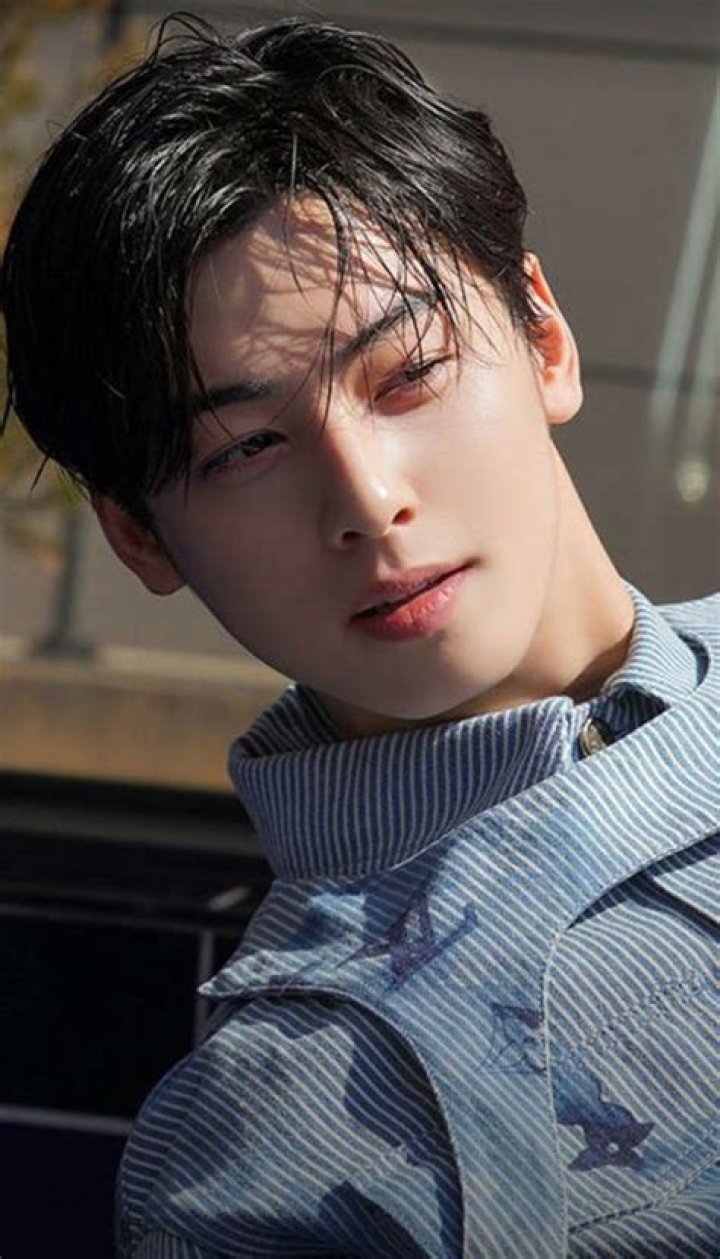 Unraveling The Mystery Of Cha Eun Woo's Engagement