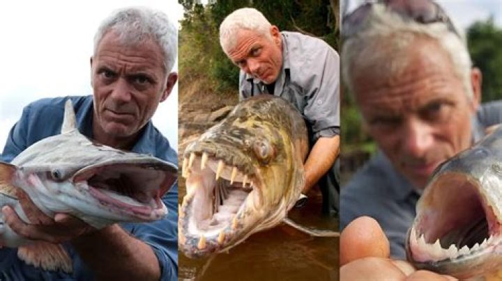 Unveiling The Secrets Of Jeremy Wade's Family: Exclusive Insights And Discoveries