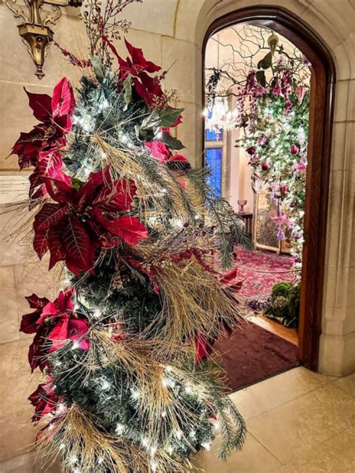 Unveiling Tree Paine's Net Worth: Discoveries And Insights
